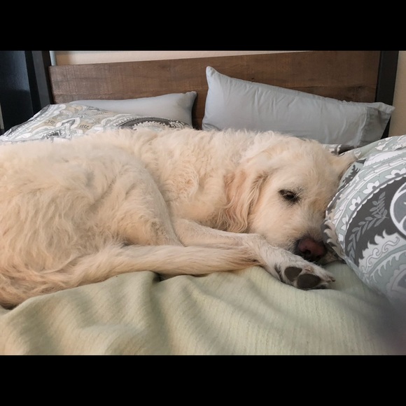 Meet your Posher, Maureen - Picture 1 of 1